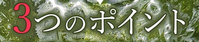 3つのポイント